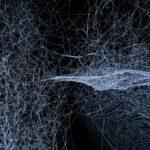 Neuroplastizität | Was unser Gehirn alles kann, wenn wir nur wollen